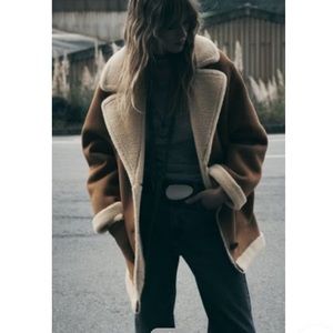 Zara Faux Suede and Fur Coat